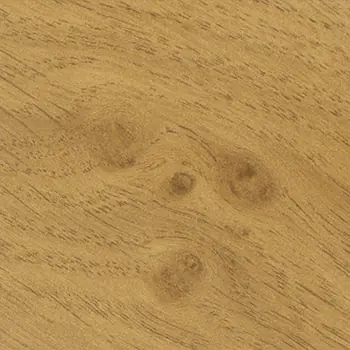 Irish Oak